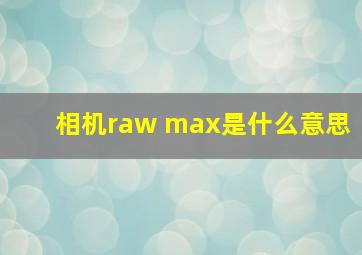 相机raw max是什么意思